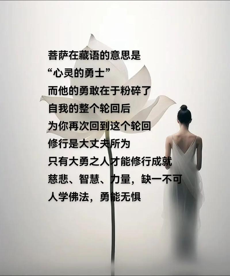 感悟人生真谛：慈悲、勇气与坚持带来的启示